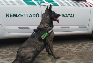Nemzeti Adó- és Vámhivatal